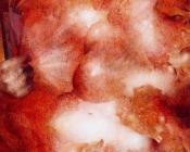 -Unknown - 浮士托·奥利瓦雷斯